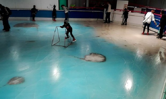 Anger as Japanese skating rink freezes thousands of fish into ice as gimmick 